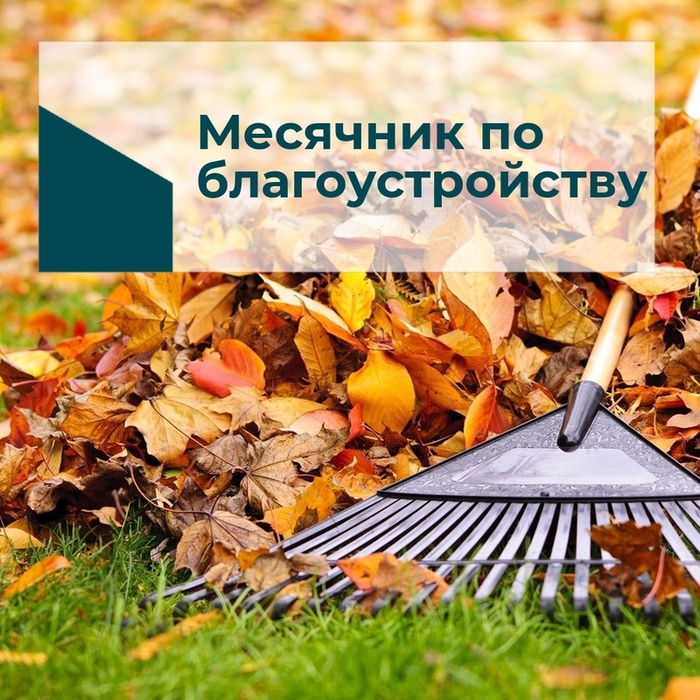 Санитарная пятница